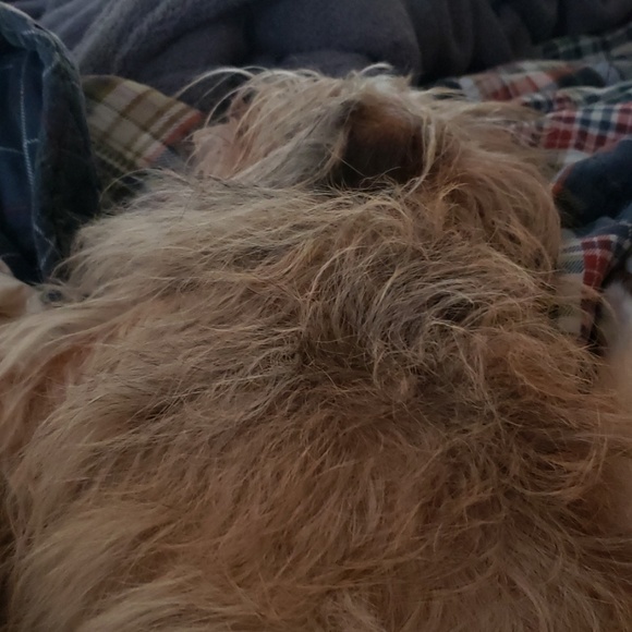 Meet your Posher, Tiffany - Picture 1 of 1